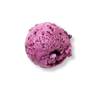 Blueberry Fruit