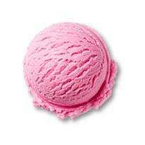 Bubble Gum