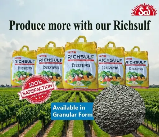 Richsulf g