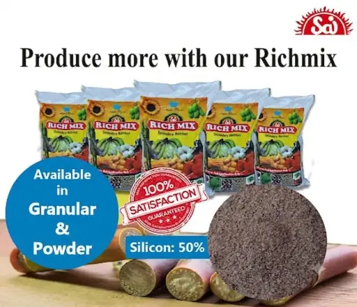 Richmix