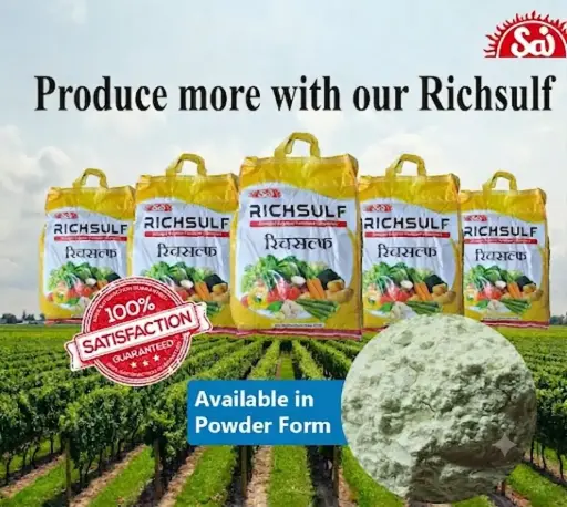 Richsulf p